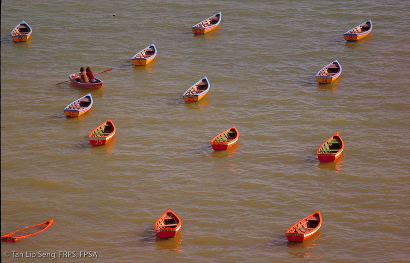 Rowing Ahead