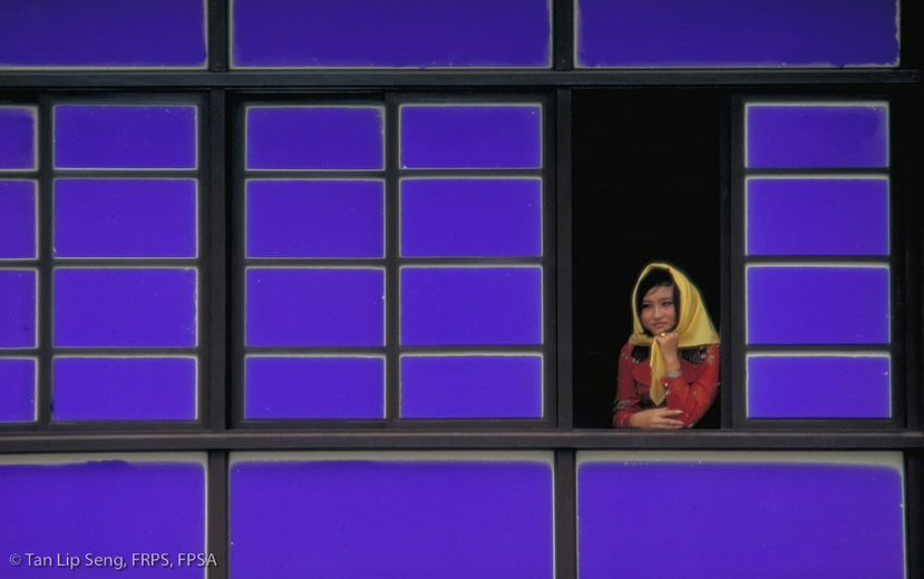 The Open Window