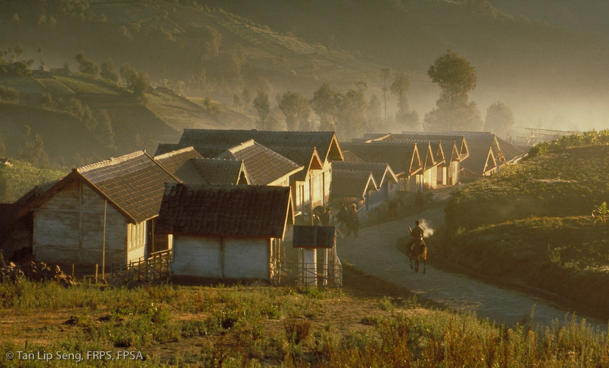 Early Mist Of Mount Bromo