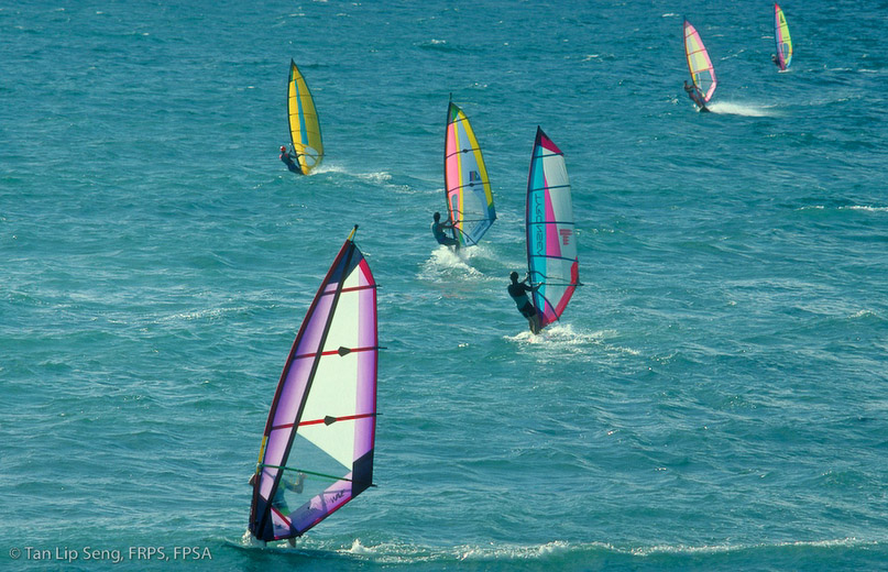 Wind Surfers No. 3