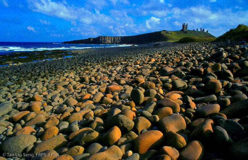 Rocky Coast