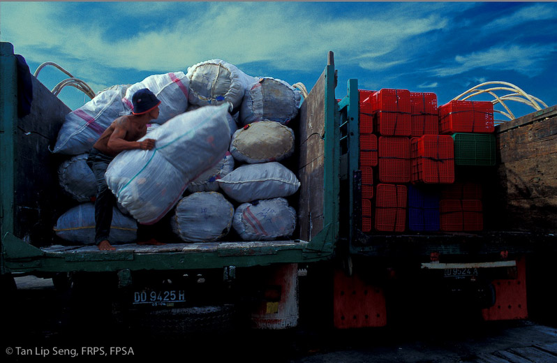 Loading Onto The Truck