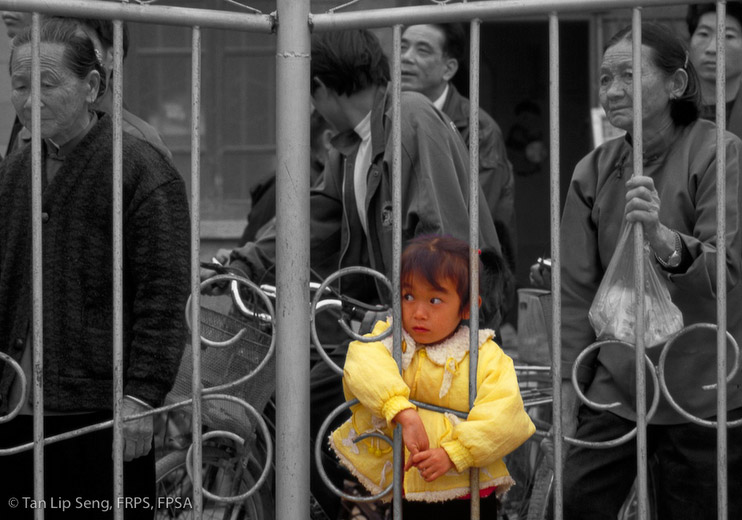 Curious Child