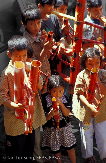 Bamboo Orchestra