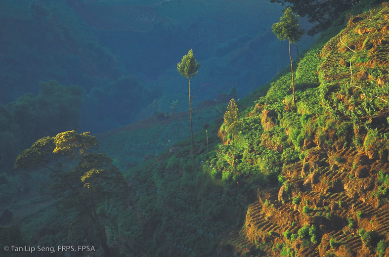 First Light At Dieng