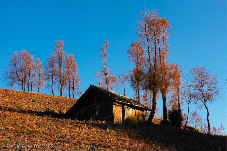 Lighted Hut