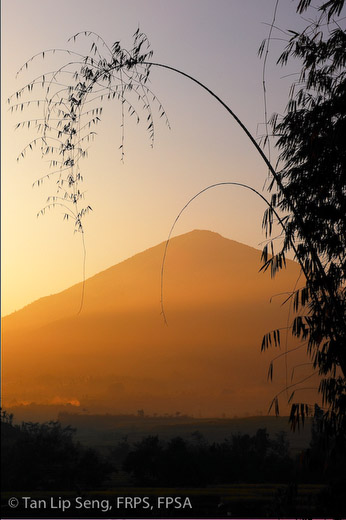 Dawn At Bayongbong