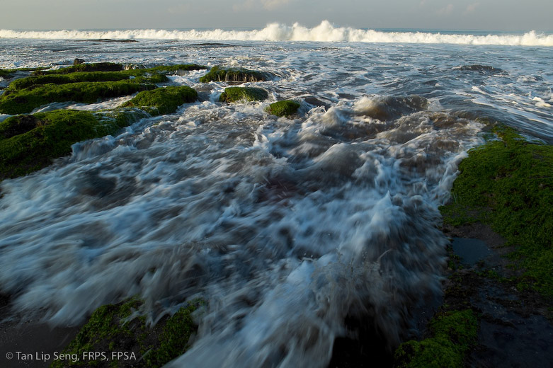 Gushing Wave