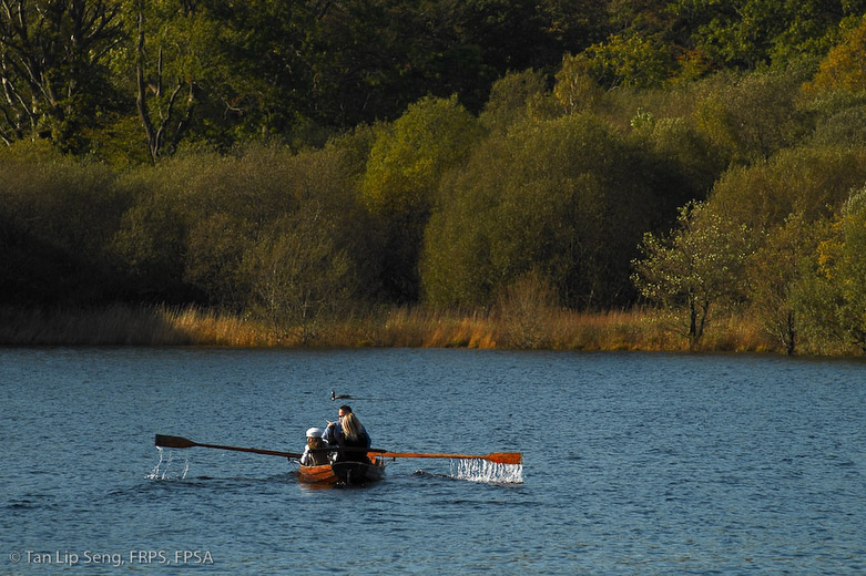 Rowing On Derwent Water