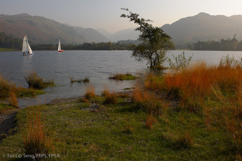 Sailing Along Glinridding On Ullswater