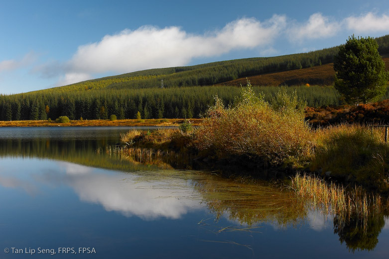 Autumn In Loch Kinardochy
