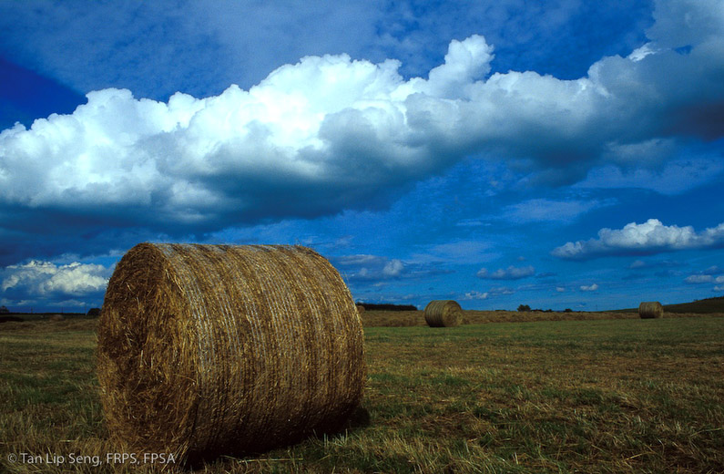 Make Hay While The Sun Shines