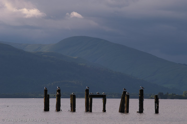 Calm And Peaceful