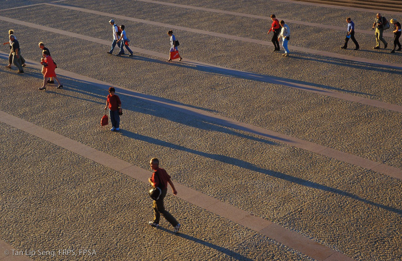 Heading Toward The Same Direction
