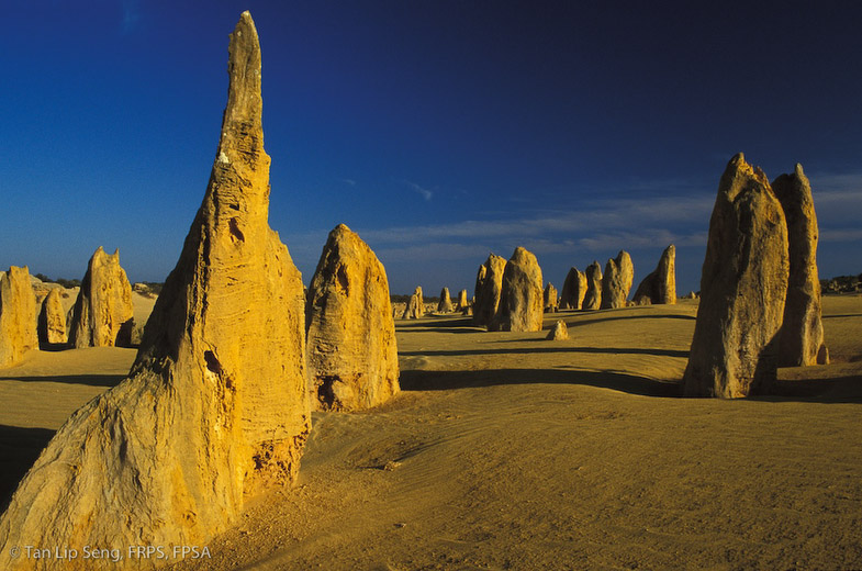 Pinacles At Dawn