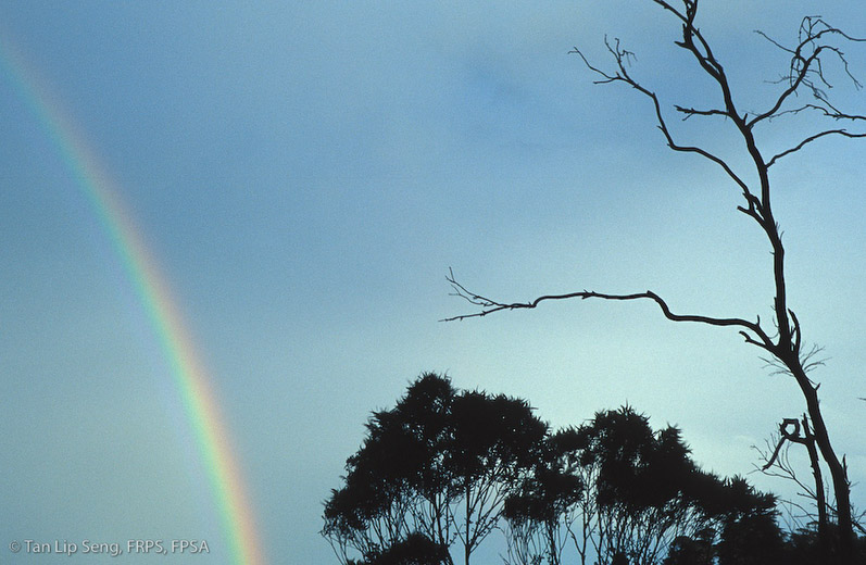 Rainbow