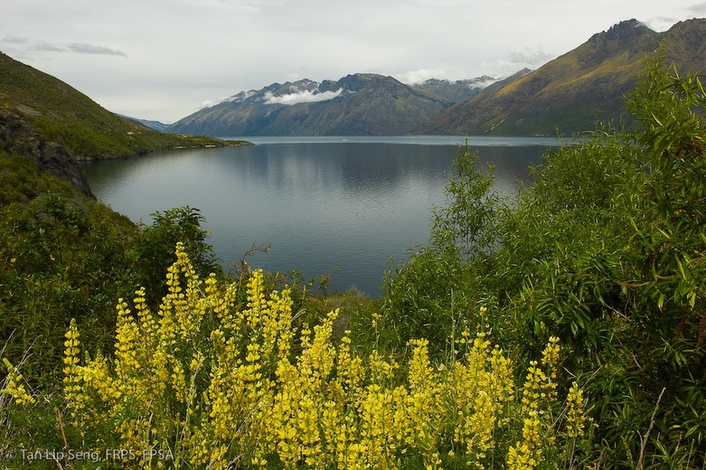 Tranquility Of Lake Wakatipu