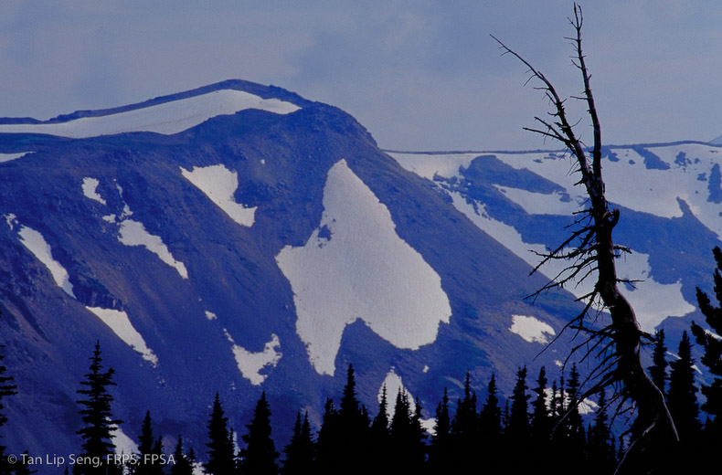Autunm In Mount Raineer