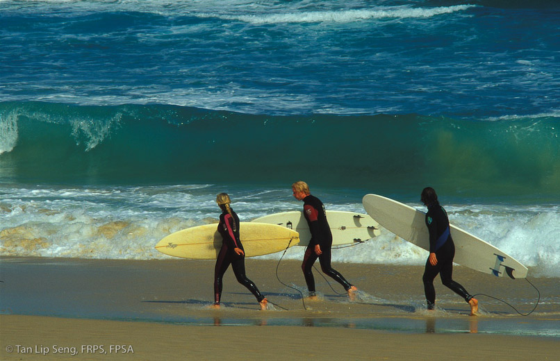 Let's Go Surfing