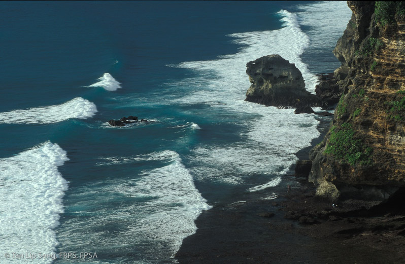 Gushing Waves