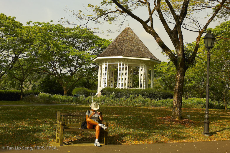 Botanical Outing
