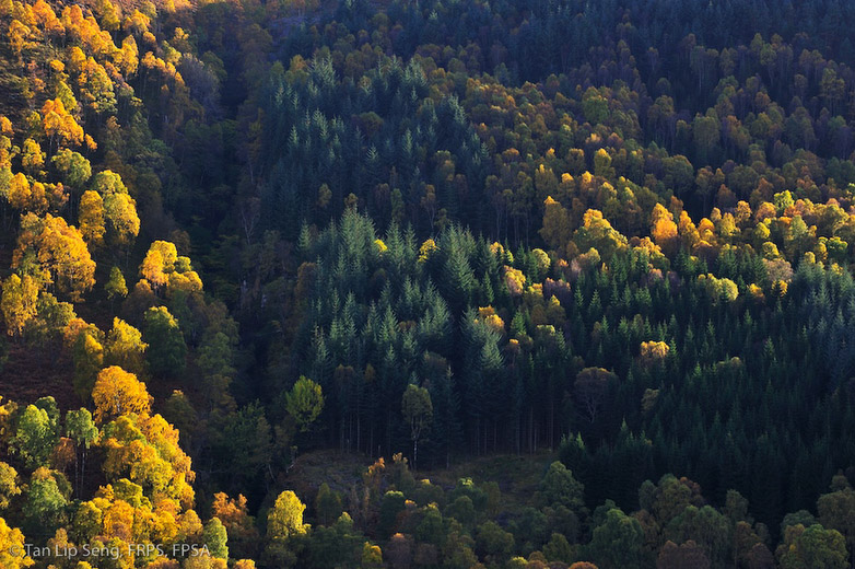 Autumn Colour Of Queen's View