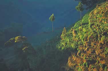 Selected exhibition image